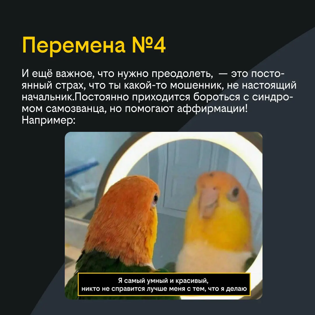 Вам доверили команду. Что дальше? | Сетка — социальная сеть от hh.ru
