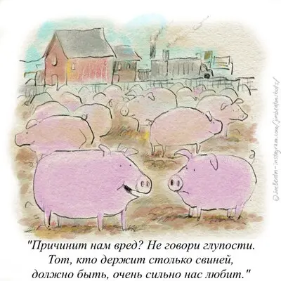 Ответ на «почему приходят отказы и не берут на работу?» | Сетка — социальная сеть от hh.ru