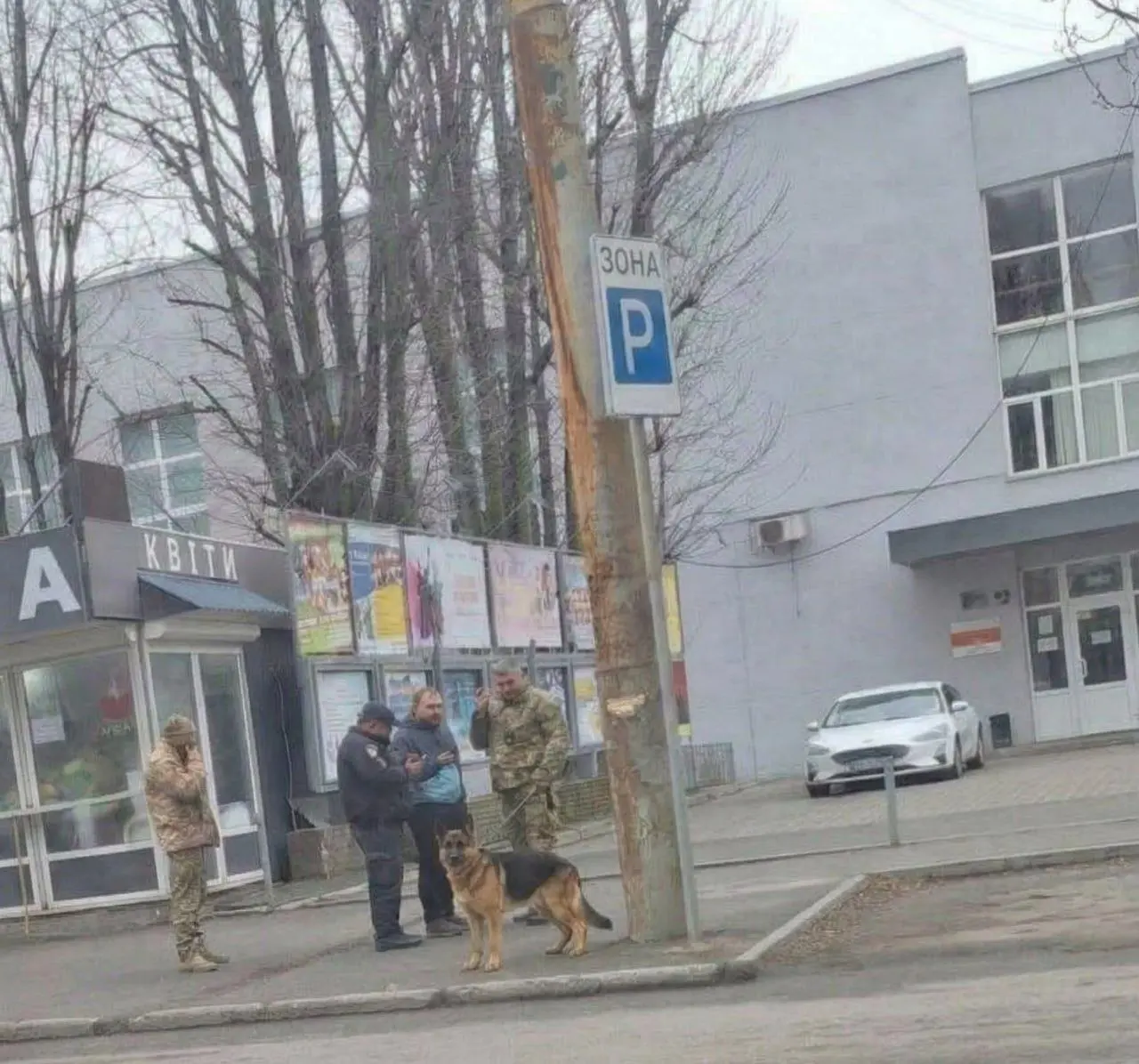 В Днепропетровске уже охотятся за людьми с собаками | Сетка — социальная сеть от hh.ru
