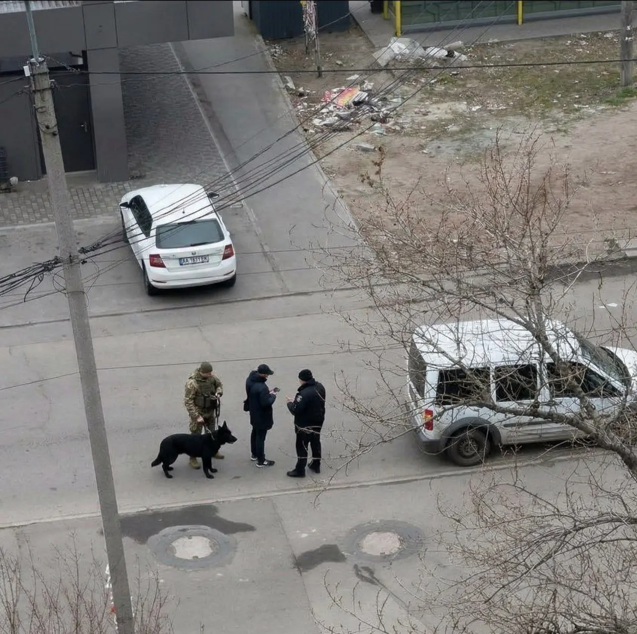 В Днепропетровске уже охотятся за людьми с собаками | Сетка — социальная сеть от hh.ru