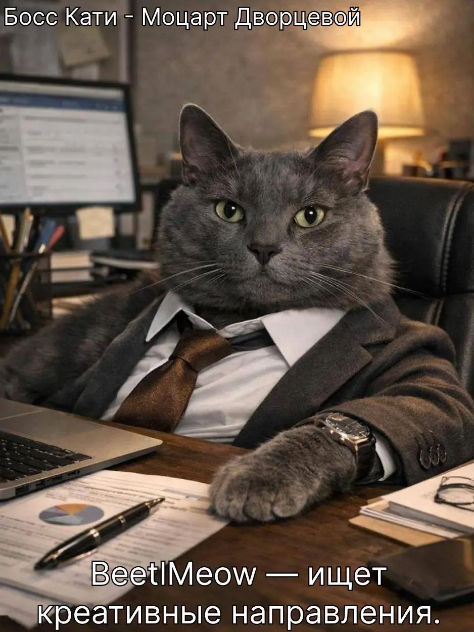 Котиков мало не бывает... даже у нас в офисе! Поэтому делимся второй частью наших кото-цитат 🟧 | Сетка — социальная сеть от hh.ru