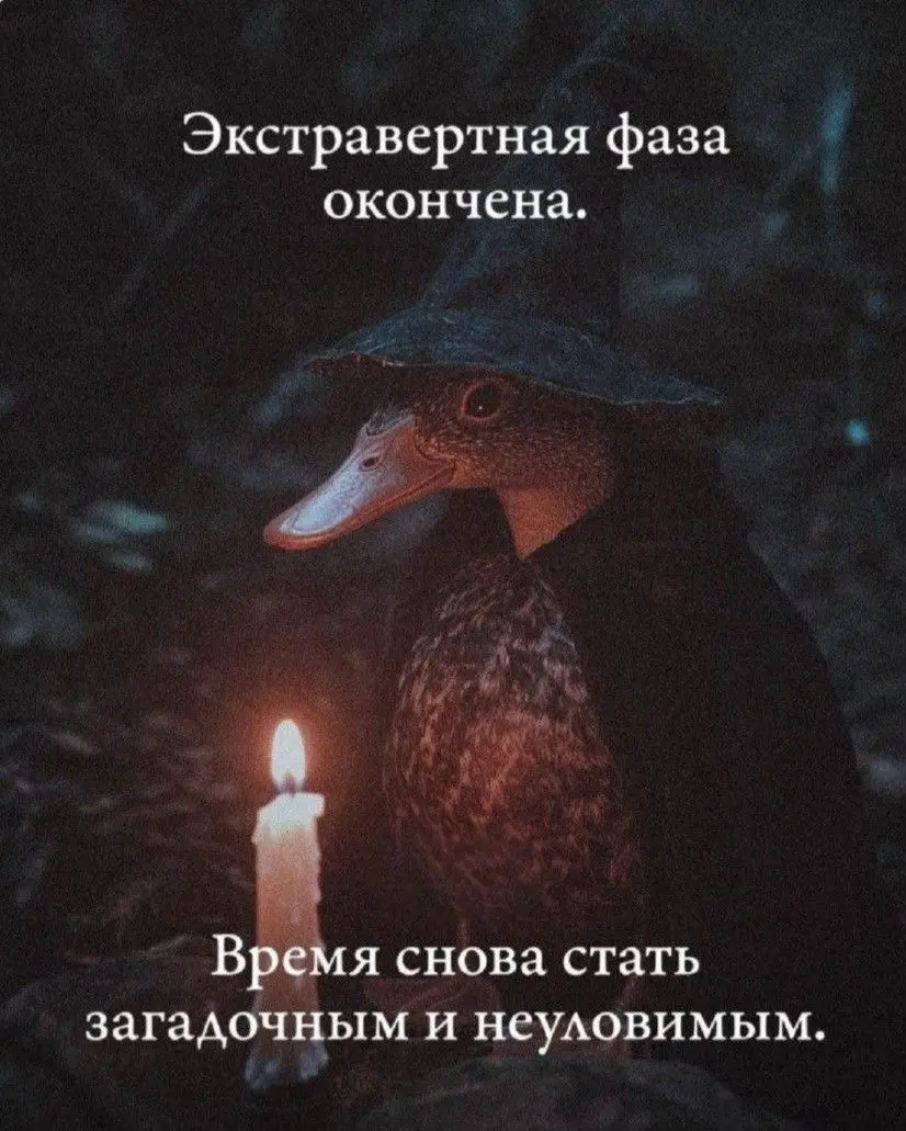 ВХОДЯЩЕЕ СООБЩЕНИЕ | Сетка — социальная сеть от hh.ru