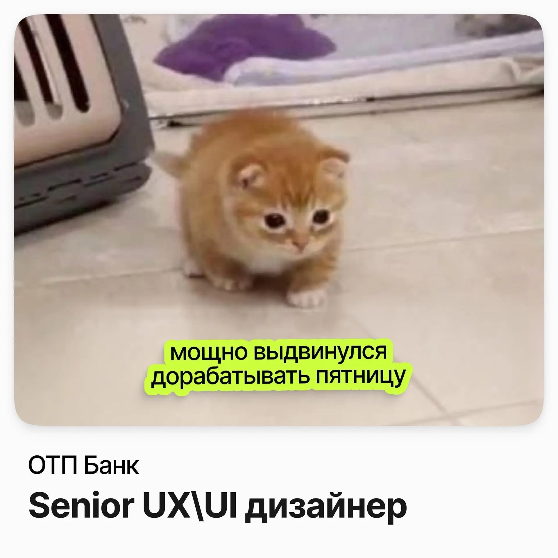 Senior UX/UI дизайнер / ОТП Банк | Сетка — социальная сеть от hh.ru