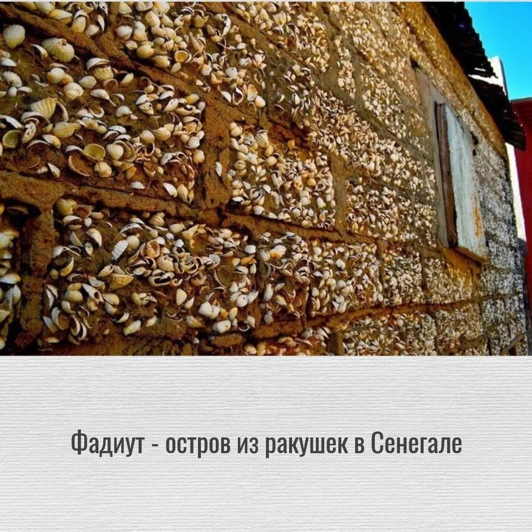 Остров из ракушек в Сенегале: как мусор стал тропическим раем за 500 лет
Остров Фадиут: сенегальское чудо, где земля хрустит под ногами
Представьте: вы идете по улице, а под ногами не асфальт, не песо... | Сетка — социальная сеть от hh.ru