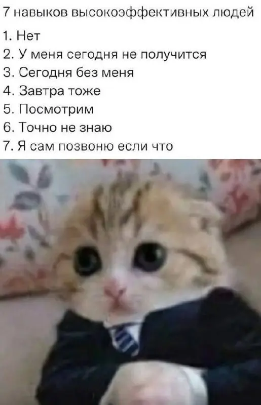 Пятничные #мемчики | Сетка — социальная сеть от hh.ru