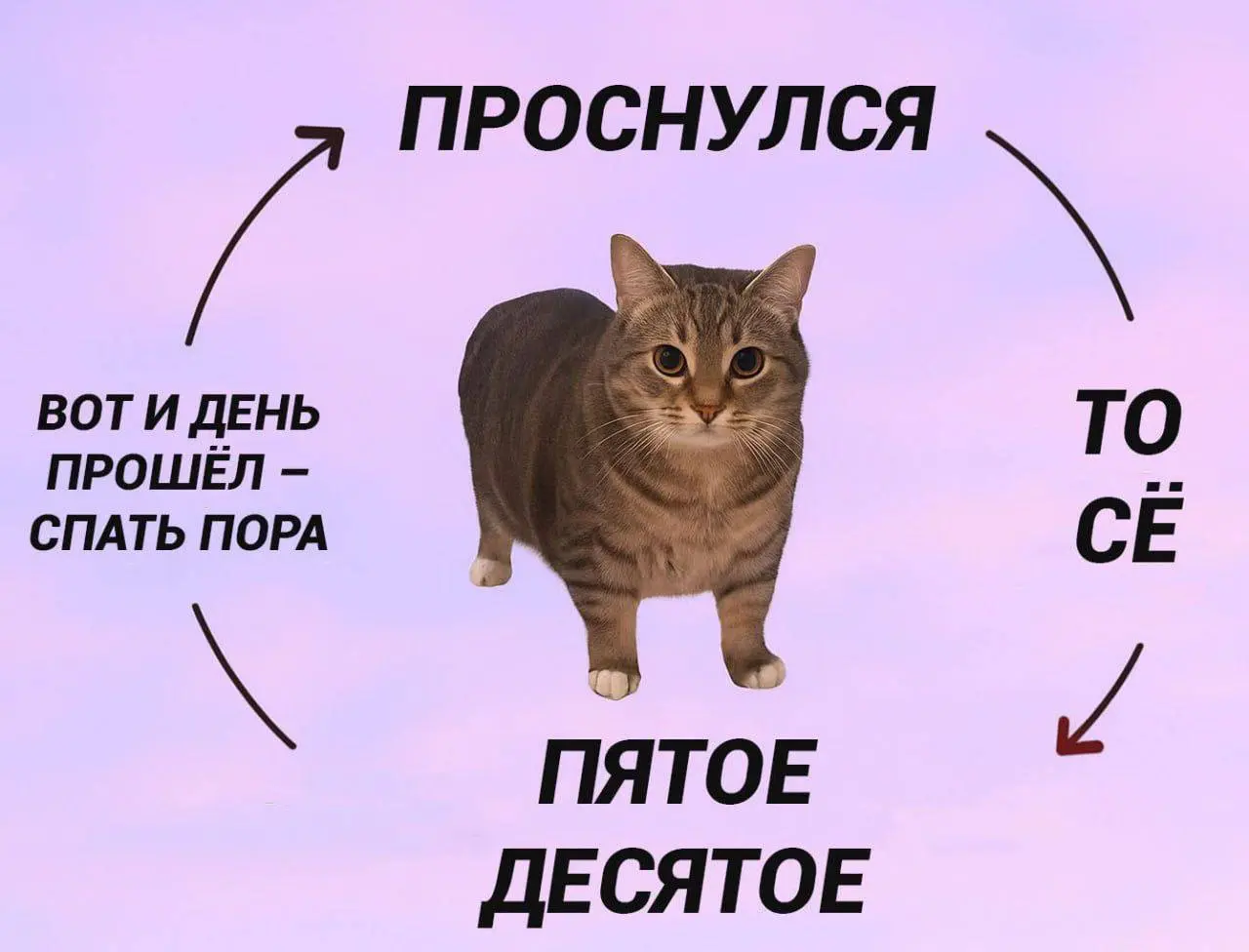 Пятничные #мемчики | Сетка — социальная сеть от hh.ru