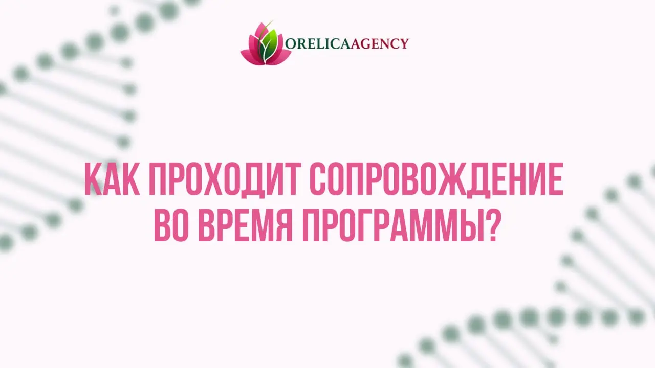 🍀 Как проходит сопровождение во время программы | Сетка — социальная сеть от hh.ru
