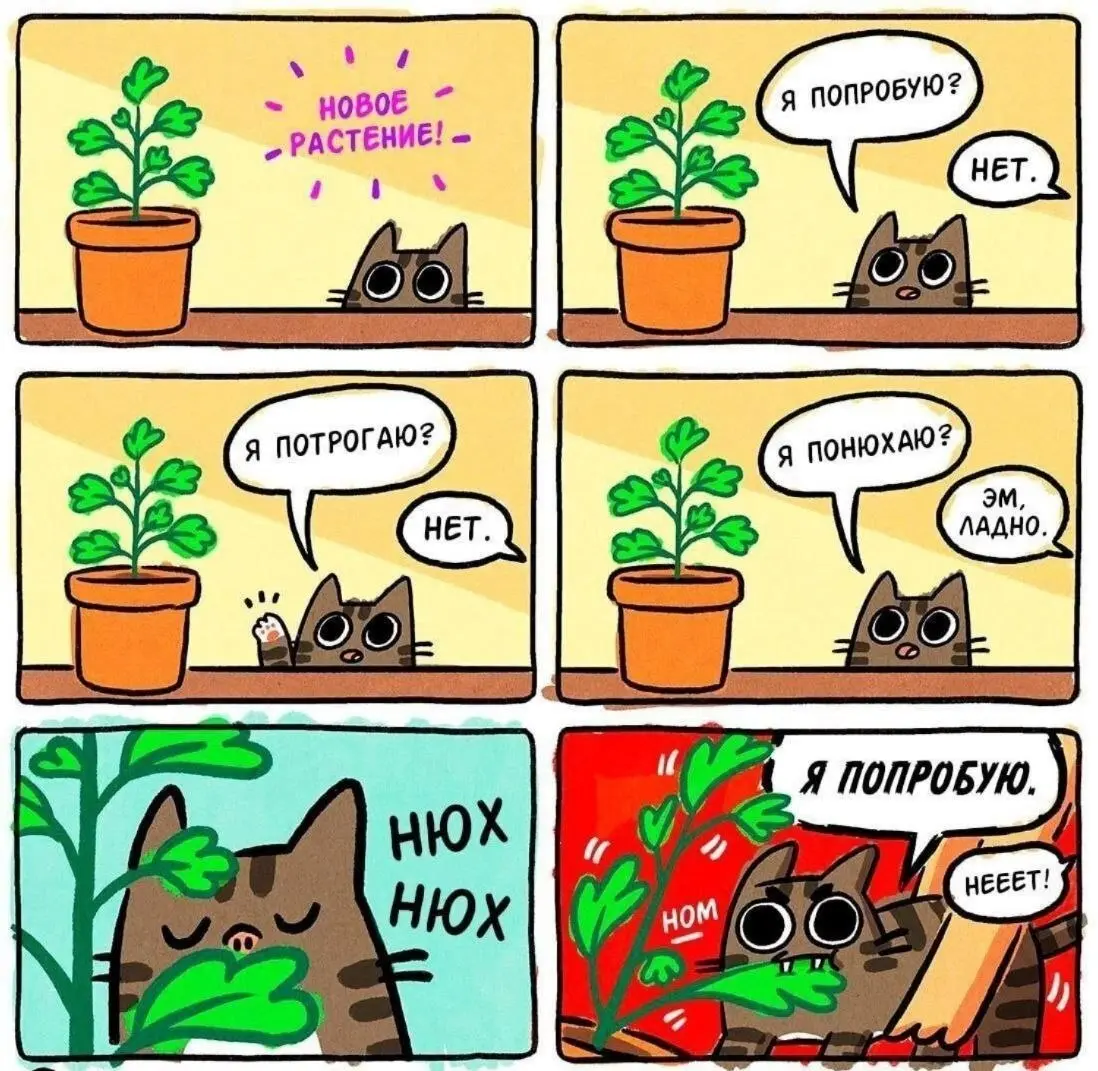 Всегда иди к цели 😂😂
#Юмор@poldner #Коты@poldner | Сетка — социальная сеть от hh.ru