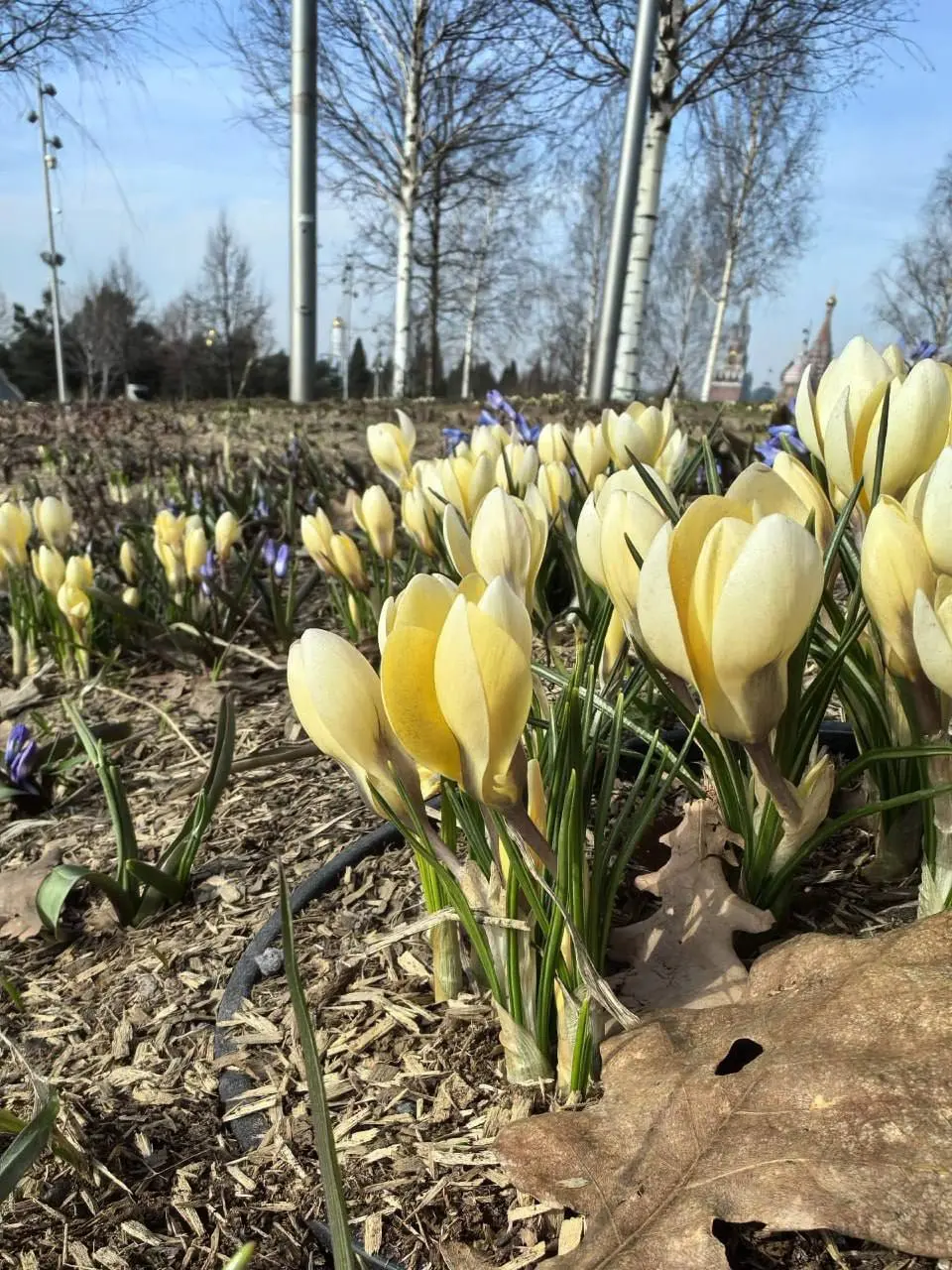 💐Весна в Москве
📲Подпишитесь на Вдвижении
#активныйотдых
В этом посте были ссылки, но мы их удалили по правилам Сетки | Сетка — социальная сеть от hh.ru
