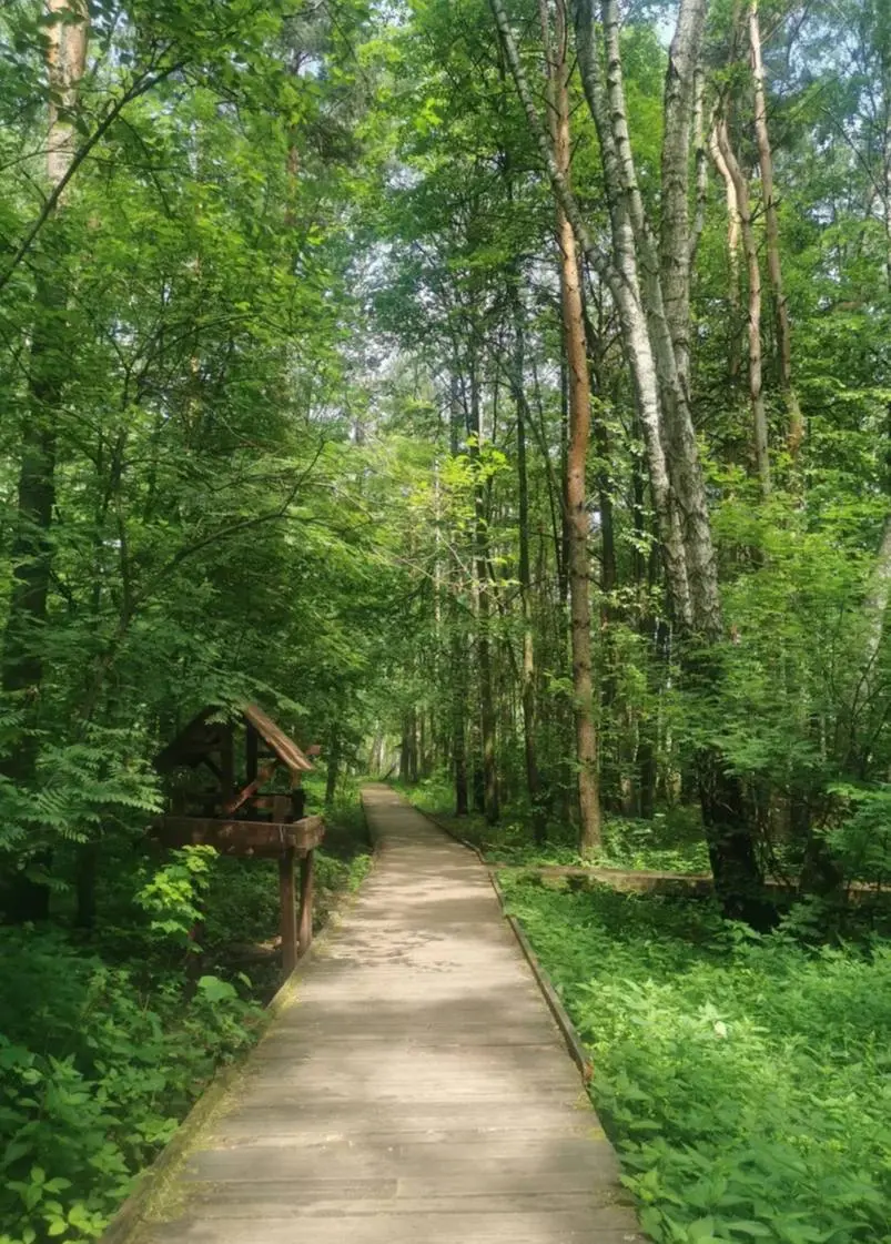 🌱Самые красивые экотропы
Живописные места, где можно перезагрузиться и насладиться природой:
📍Воздушная экотропа ВДНХ
📍Бирюлевский дендропарк
📍Тропаревский лесопарк
📍Парк «Долина реки Химки»
📍Заповедн... | Сетка — социальная сеть от hh.ru