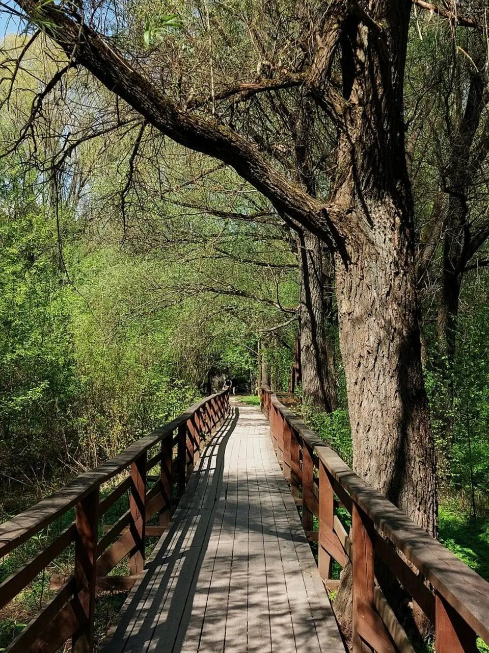 🌱Самые красивые экотропы
Живописные места, где можно перезагрузиться и насладиться природой:
📍Воздушная экотропа ВДНХ
📍Бирюлевский дендропарк
📍Тропаревский лесопарк
📍Парк «Долина реки Химки»
📍Заповедн... | Сетка — социальная сеть от hh.ru