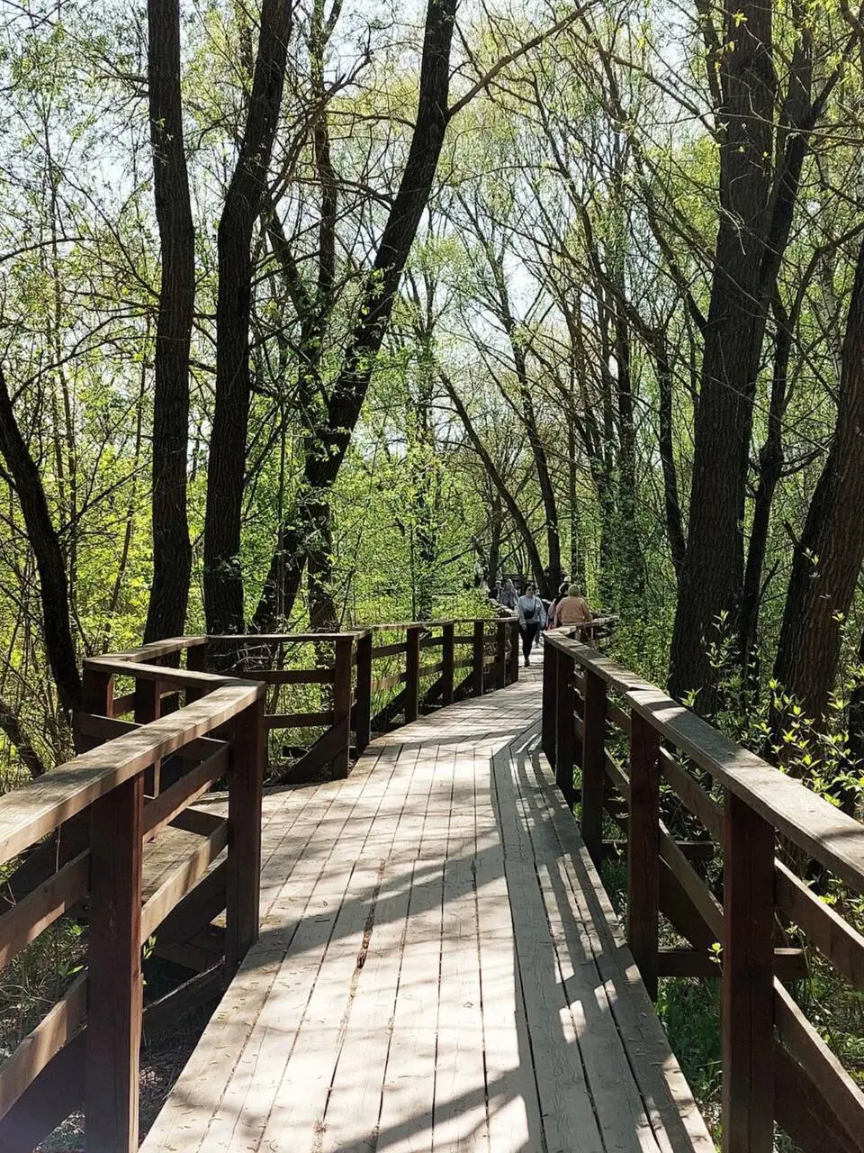 🌱Самые красивые экотропы
Живописные места, где можно перезагрузиться и насладиться природой:
📍Воздушная экотропа ВДНХ
📍Бирюлевский дендропарк
📍Тропаревский лесопарк
📍Парк «Долина реки Химки»
📍Заповедн... | Сетка — социальная сеть от hh.ru