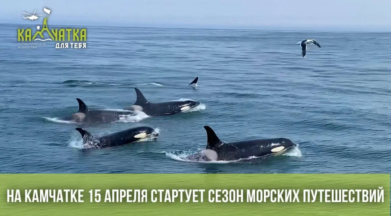 Вы чувствуете этот запах? Это запах свободы и соленого океана — навигация на Камчатке официально открывается 15 апреля!
Зима официально отступает, и мы наконец-то возвращаемся в стихию | Сетка — социальная сеть от hh.ru