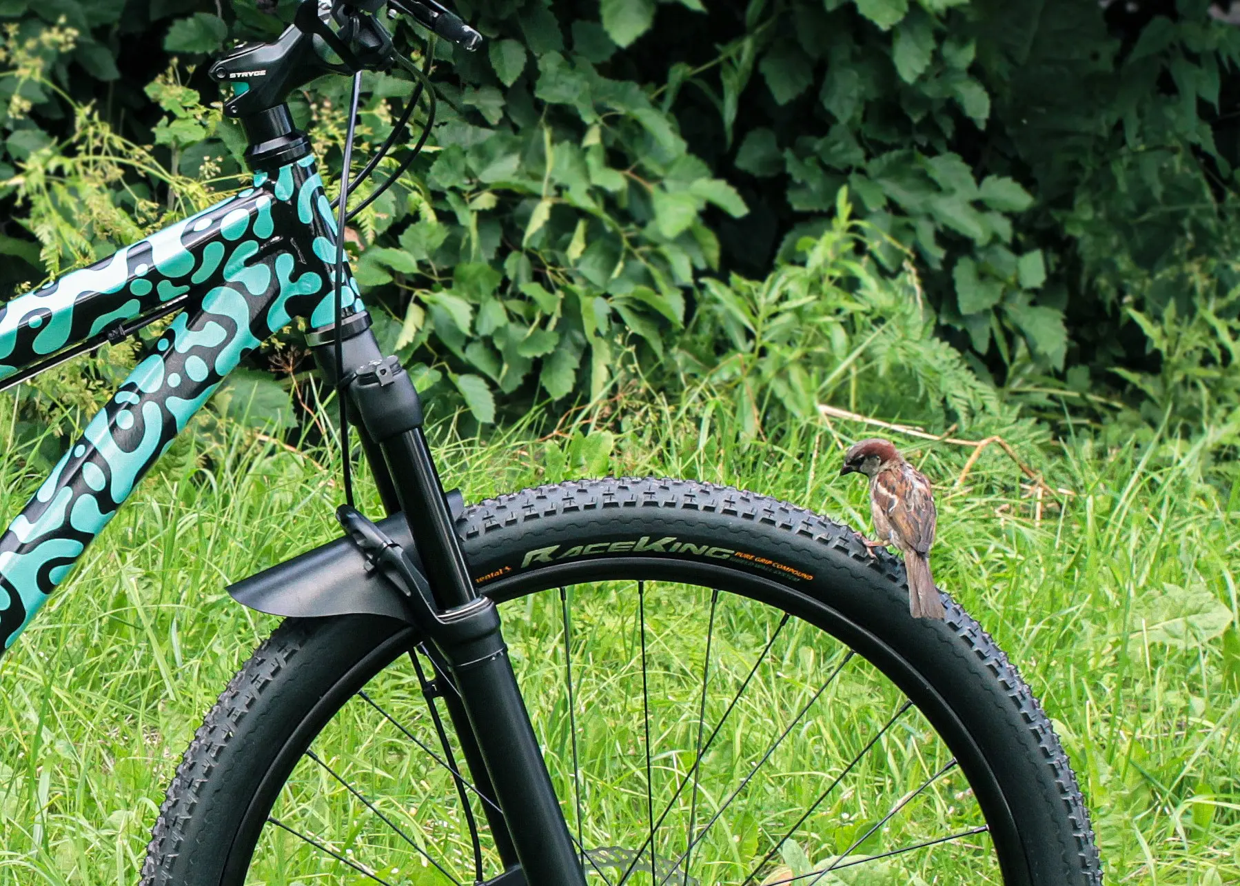 Voltage YZ | Сетка — социальная сеть от hh.ru