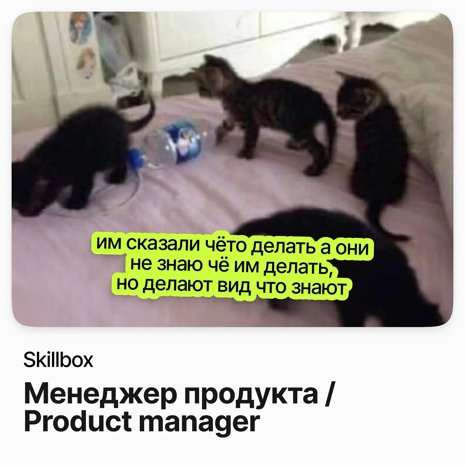 Менеджер продукта / Skillbox | Сетка — социальная сеть от hh.ru