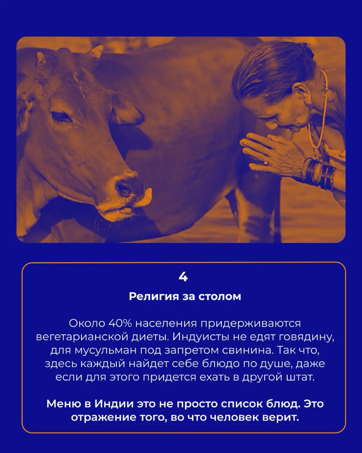 Кухни мира: Индия 🇮🇳 | Сетка — социальная сеть от hh.ru