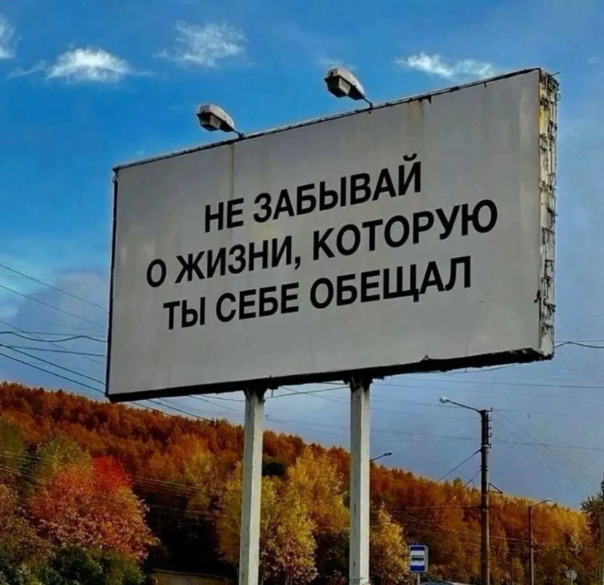 🔤8️⃣1️⃣
Иногда мы так стараемся быть нужными, что незаметно начинаем жить не своей жизнью.
Подстраиваемся. Помогаем. Поддерживаем. Строим. Вкладываемся | Сетка — социальная сеть от hh.ru