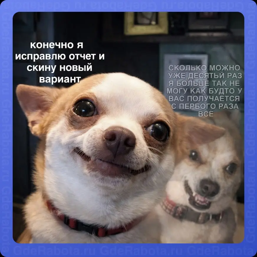 Когда отправляешь отчет в 11 раз и делаешь вид, что так и задумано 😊
#работа #GdeRabota #вакансии | Сетка — социальная сеть от hh.ru