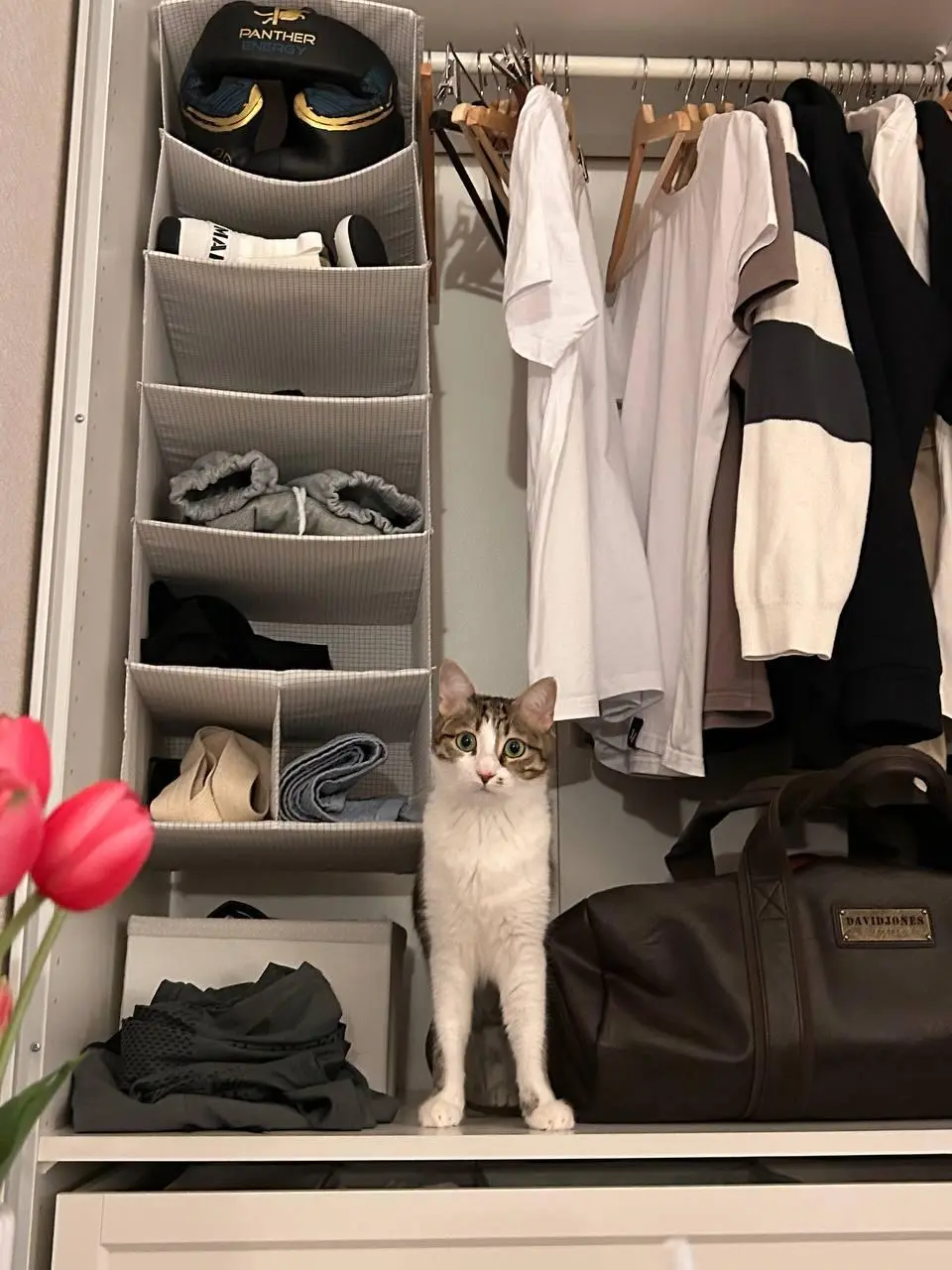 Сегодня мне исполнилось 32 года
По этому поводу весь сегодняшний день буду проводить сбор донатов на помощь трём котоприютам в Нижнем Новгороде. Итоговую сумму распределю между приютами поровну | Сетка — социальная сеть от hh.ru