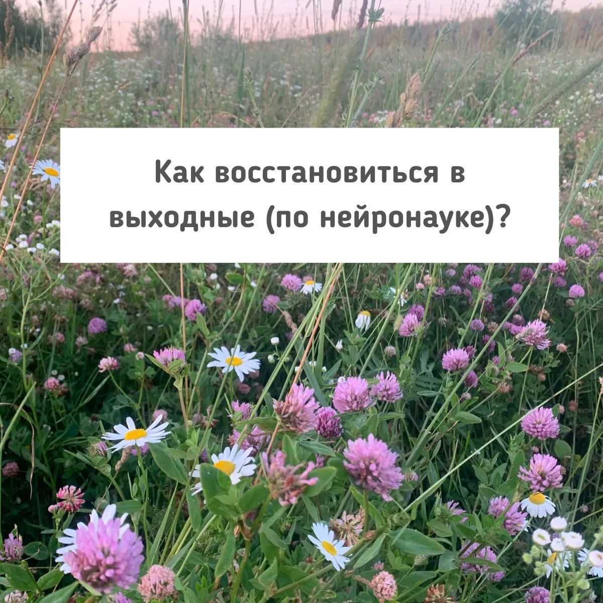 Как восстановиться в выходные? После напряженной недели на ум приходит идея – хорошо отоспаться и полежать.
📚 С научной точки зрения ключ - не в бездействии, а в смене режима работы мозга | Сетка — социальная сеть от hh.ru