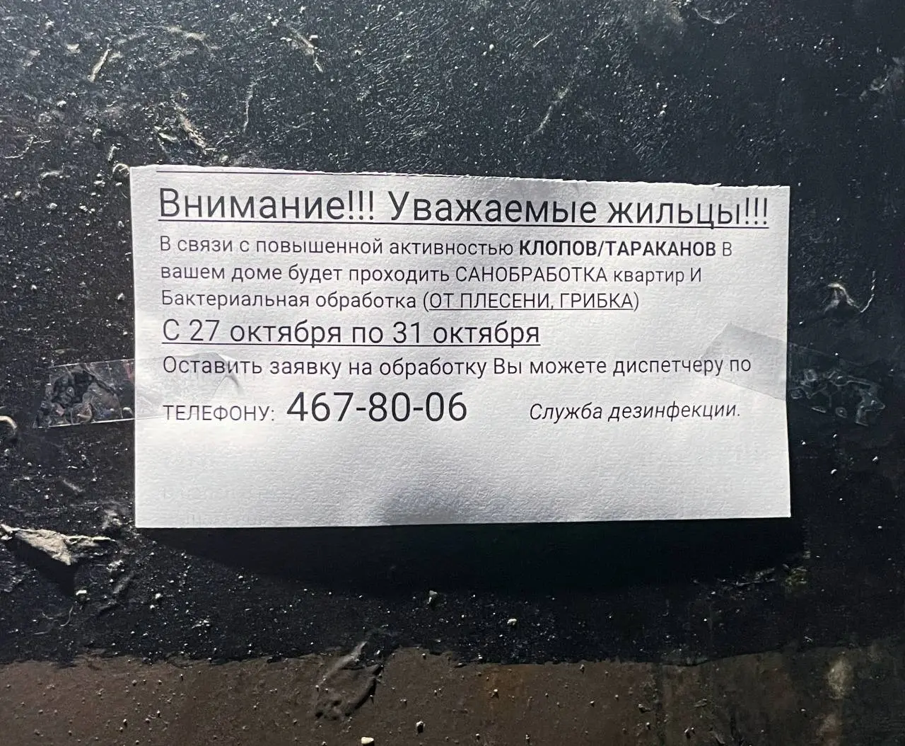 С первого взгляда кажется, что это объявление повесила какая-то официальная служба | Сетка — социальная сеть от hh.ru