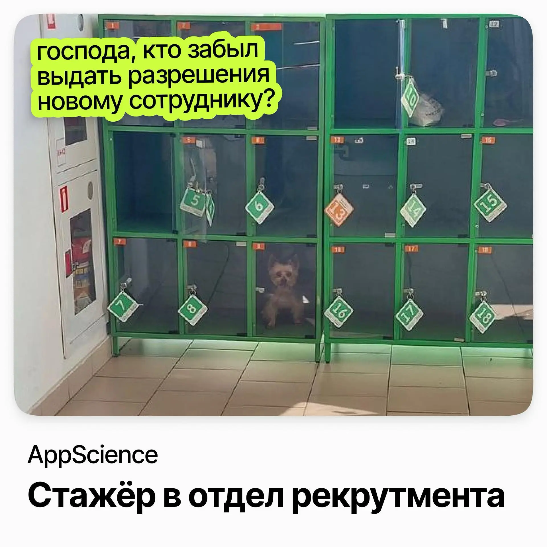 Стажёр в отдел рекрутмента / AppScience | Сетка — социальная сеть от hh.ru