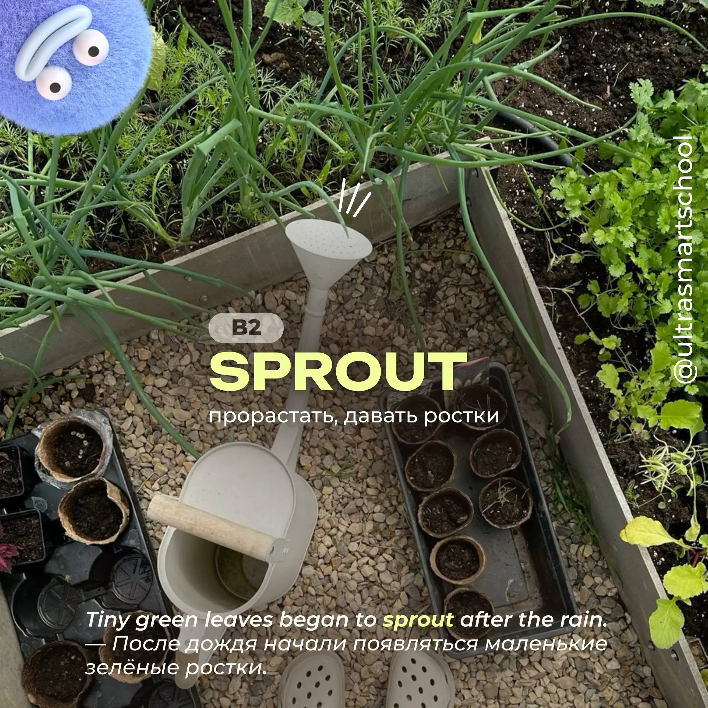 #словодня
🌱to sprout /spraʊt/
- used to describe a plant beginning to grow
Tiny green leaves began to sprout after the rain. — После дождя начали появляться маленькие зелёные ростки | Сетка — социальная сеть от hh.ru