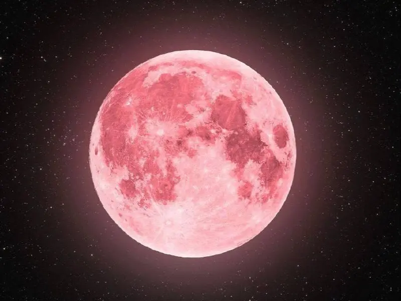 🌝 Любуемся уникальной «розовой» Луной
2 апреля
В ночь с 1 на 2 апреля небо украсит яркая полная Луна. Спутник Земли на короткое время может показаться розоватым | Сетка — социальная сеть от hh.ru