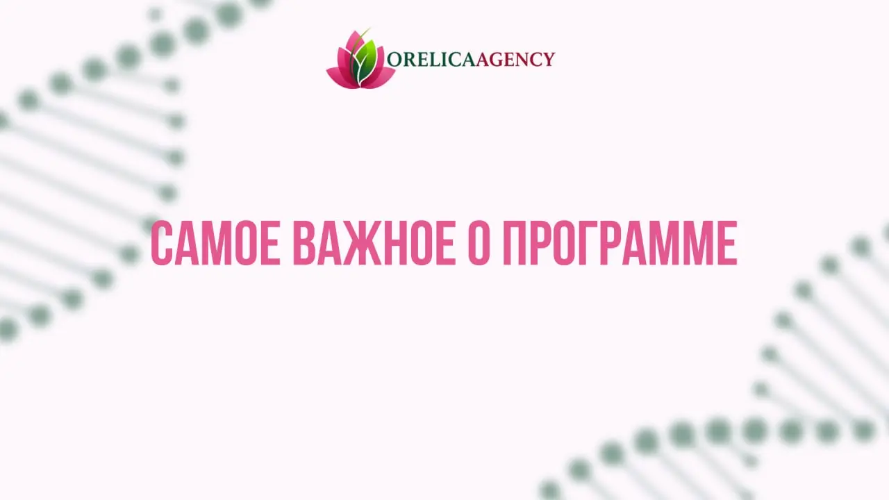 🍀 Собрали всё самое важное о программе в одном пост | Сетка — социальная сеть от hh.ru
