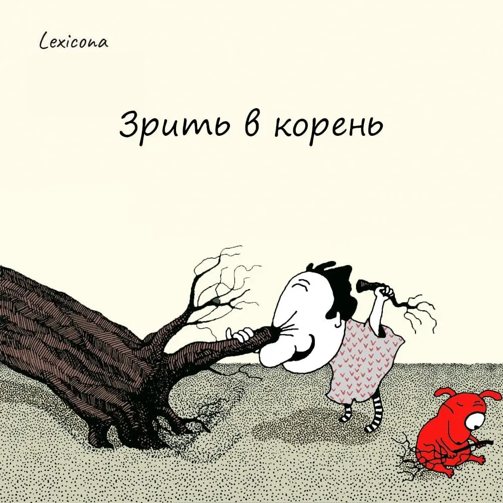 Зрить в корень
Это выражение означает оценивать какие-либо явления не поверхностно, а глубоко; находить в чём-либо основное, скрытую причину | Сетка — социальная сеть от hh.ru
