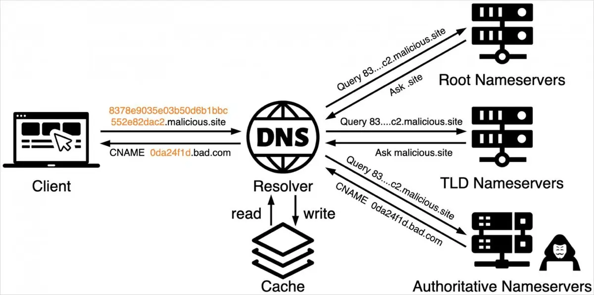 🕳️ DNS-туннелирование: когда протокол становится каналом | Сетка — социальная сеть от hh.ru