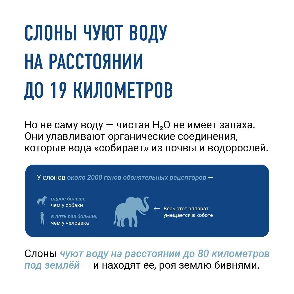 Сегодня отмечается Всемирный день водных ресурсов. | Сетка — социальная сеть от hh.ru