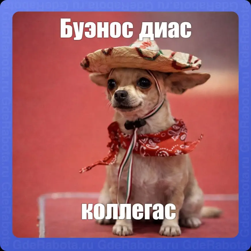 Хорошес рабочес неделяс 🤌🏻
#работа #GdeRabota #вакансии | Сетка — социальная сеть от hh.ru