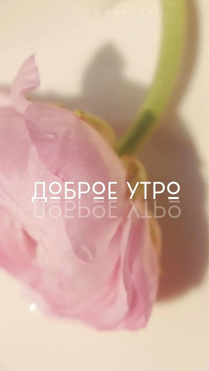 Доброе утро понедельника!
Пусть эта неделька будет легкой. Желаю вам хорошего настроения ❤️ | Сетка — социальная сеть от hh.ru