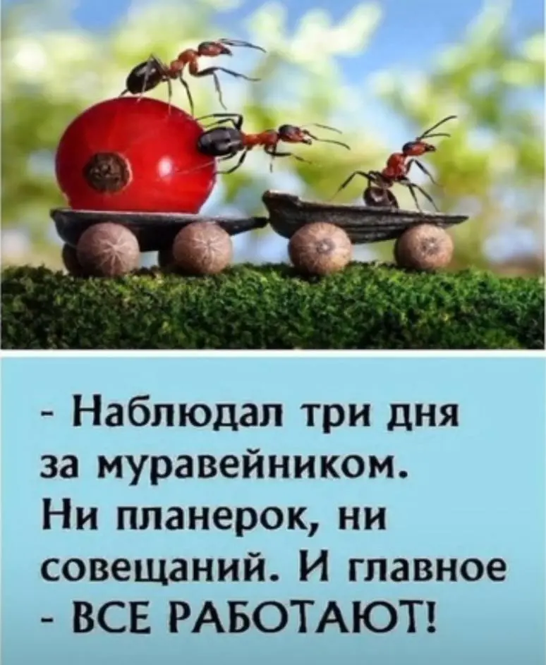 Теория без практики мертва | Сетка — социальная сеть от hh.ru