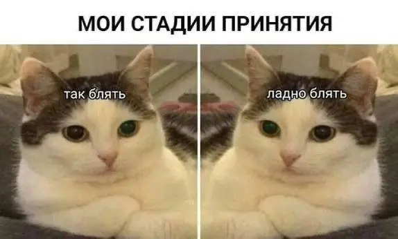 Доброе утро)
Все ринулись создавать «безопасные» каналы в max, вот я сижу и думаю, пора ли уже перейти на новую стадию принятия или ещё можно подождать?
Я вот люблю телеграм, что не сильно представляю... | Сетка — социальная сеть от hh.ru