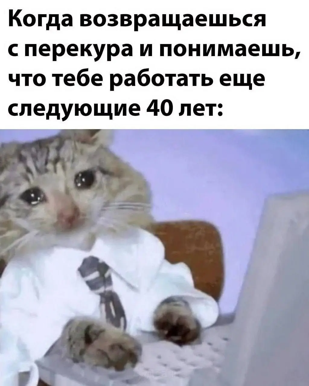 Доброе рабочее 😐
Немного скрасим это утро смешными картинками и хорошими новостями:
До пятницы всего 4 дня ✌
Работаем, ребята 🤝
@netwrkresume | Сетка — социальная сеть от hh.ru