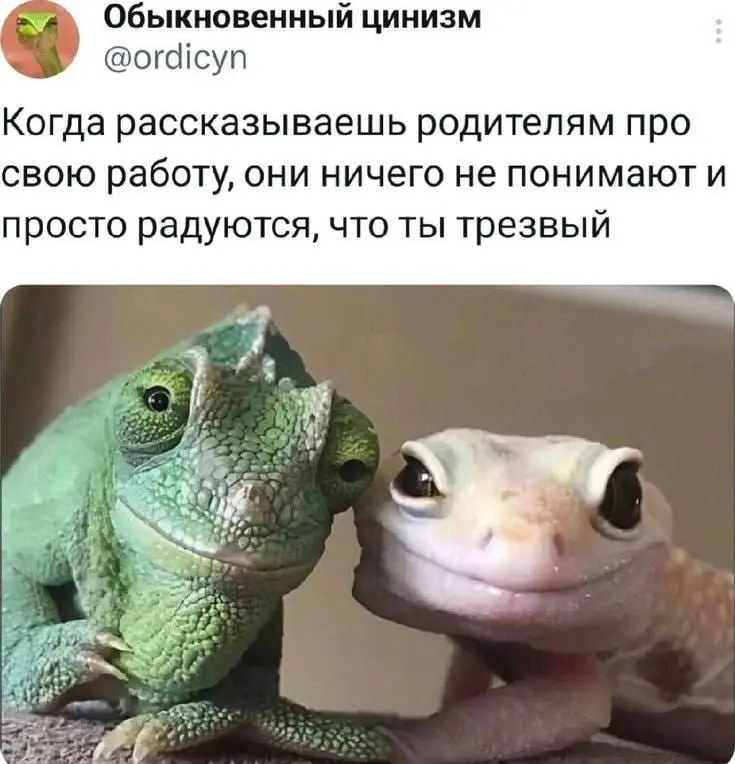 Доброе рабочее 😐
Немного скрасим это утро смешными картинками и хорошими новостями:
До пятницы всего 4 дня ✌
Работаем, ребята 🤝
@netwrkresume | Сетка — социальная сеть от hh.ru