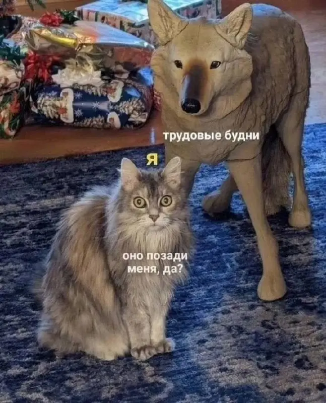 Доброе рабочее 😐
Немного скрасим это утро смешными картинками и хорошими новостями:
До пятницы всего 4 дня ✌
Работаем, ребята 🤝
@netwrkresume | Сетка — социальная сеть от hh.ru