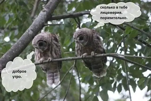 С добрым утром понедельника, коллеги! | Сетка — социальная сеть от hh.ru