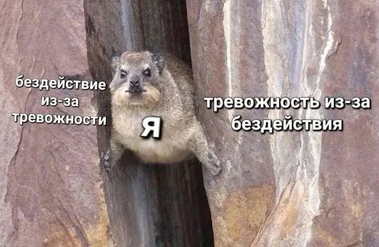Тревога не отпускает
Сейчас тревога, как грипп весной - массовое явление.
Ситуация в мире не может не задевать нас всех. При этом, вы можете даже не читать новости. Информация до вас все равно доходит | Сетка — социальная сеть от hh.ru