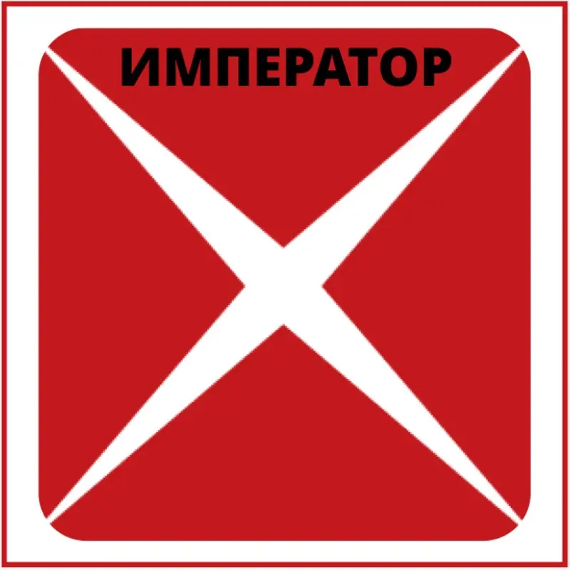 Инна Романова