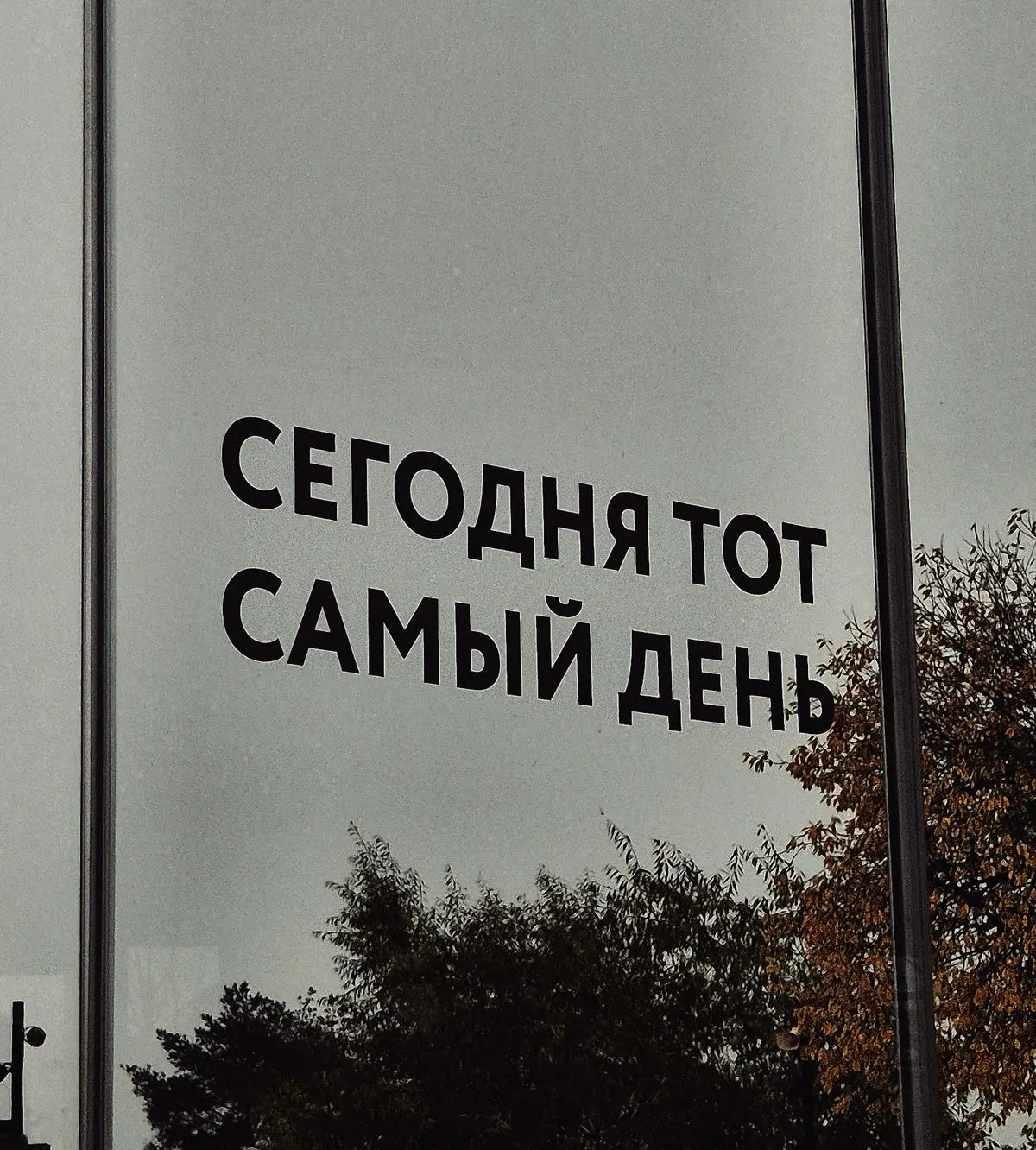 Почему «Да» | Сетка — социальная сеть от hh.ru