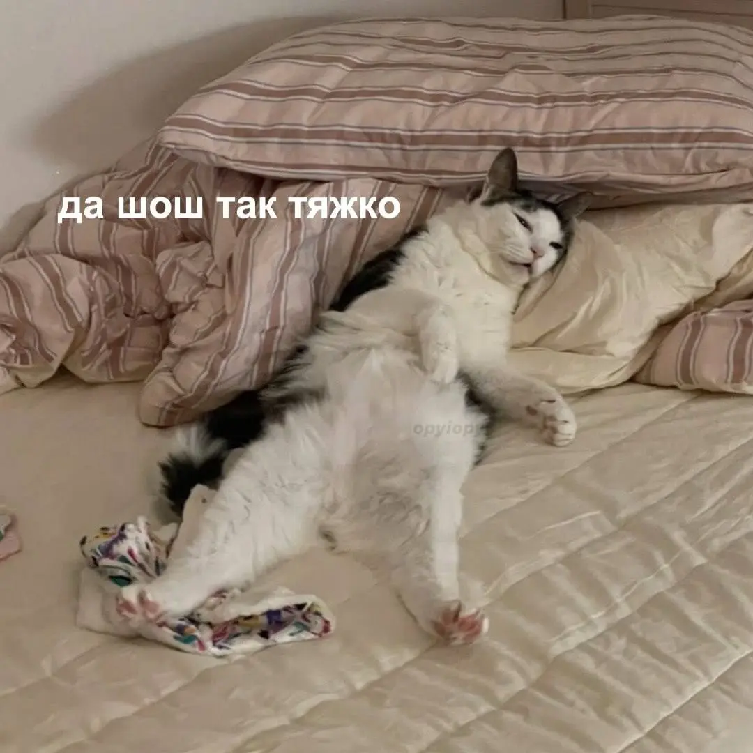 Понедельник | Сетка — социальная сеть от hh.ru