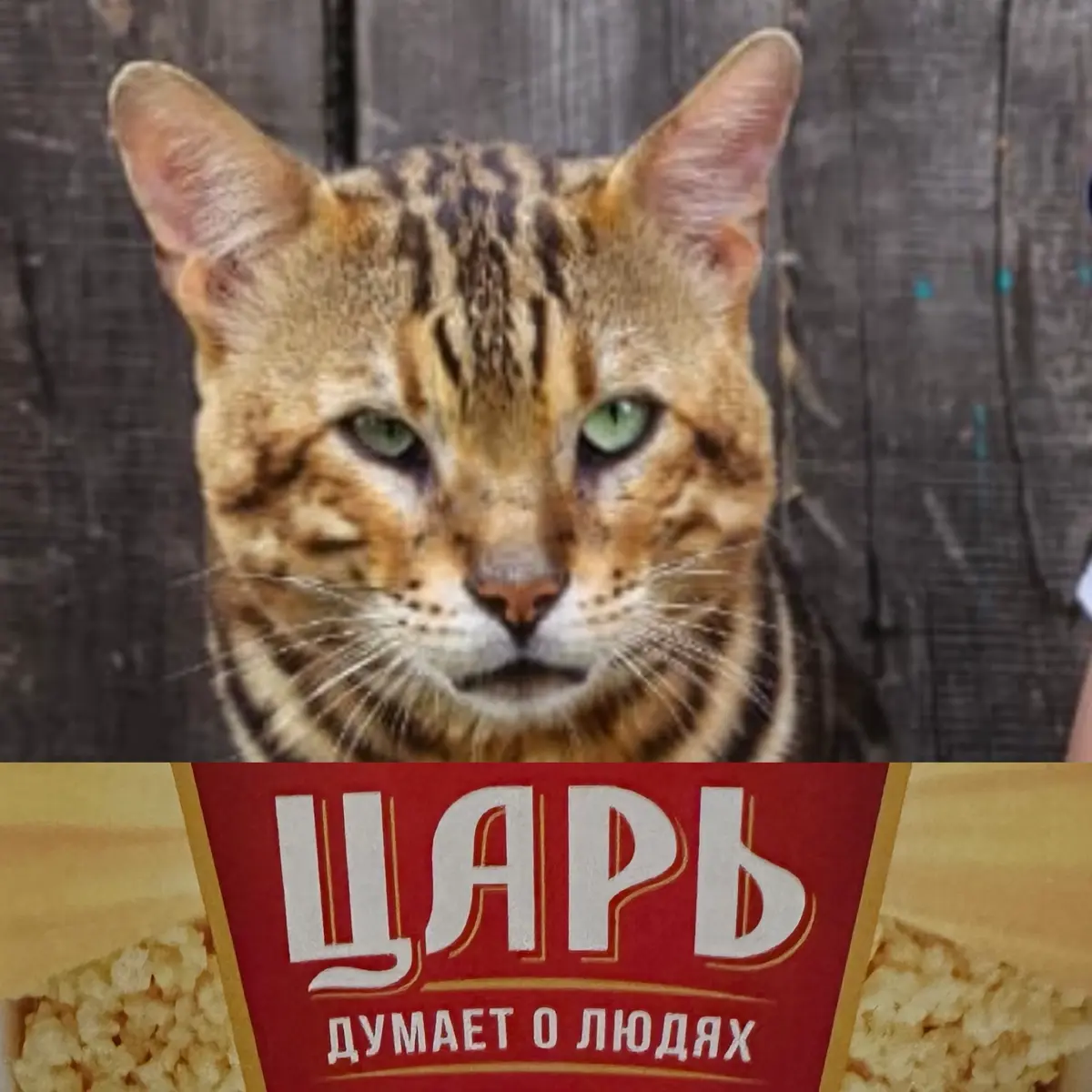 Немного наблюдений… | Сетка — социальная сеть от hh.ru