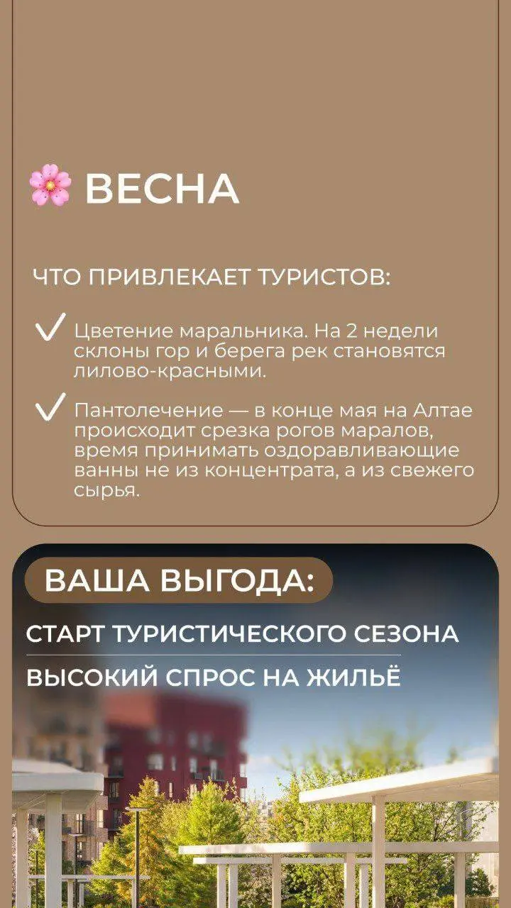 🏔 Алтай: Курорт, где нет «мёртвого сезона» + ПОСЛЕДНИЙ ШАНС на Семейную ипотеку! 📈
Мы уже обсуждали, что Алтай ломает стереотипы курортной недвижимости | Сетка — социальная сеть от hh.ru