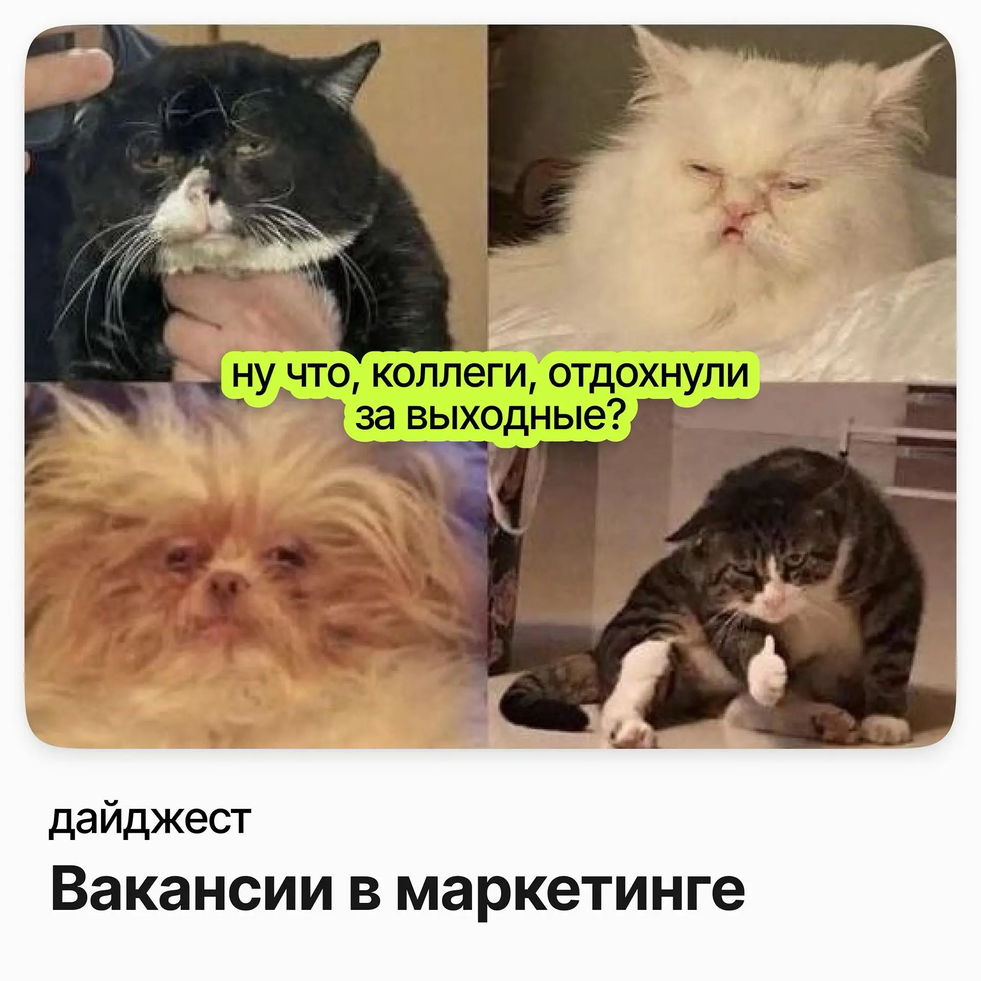 Вакансии в маркетинге | Сетка — социальная сеть от hh.ru