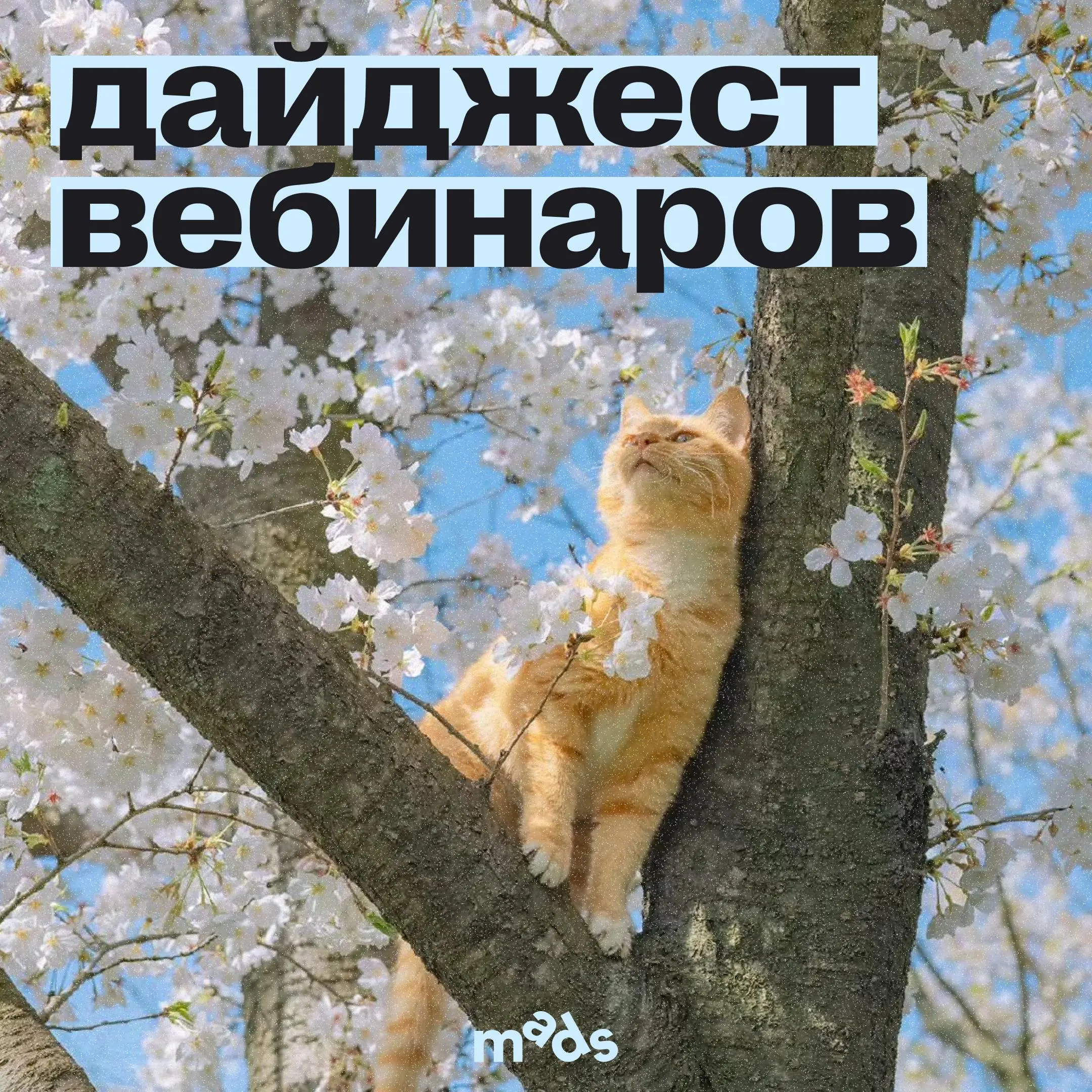 Ни недели без открытых вебинаров и спринтов от ПИКЧИ! 👀
Лови обновленный дайджест мероприятий:
🔼 25 марта, 18:00 (мск), онлайн
Как бренду делать маркетинг 360 и экономить время с помощью ИИ
На примере... | Сетка — социальная сеть от hh.ru