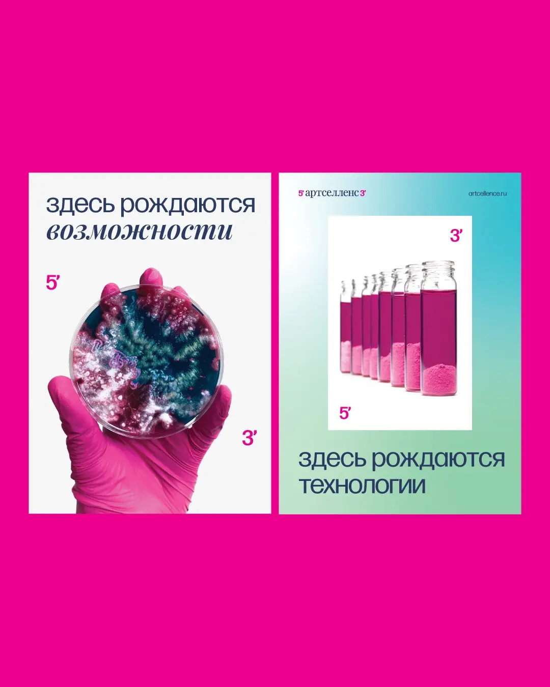 Приручать неизвестность. Как мы сделали дерзкий биотех-бренд | Сетка — социальная сеть от hh.ru