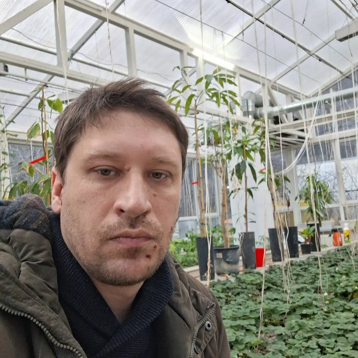 Network member avatar